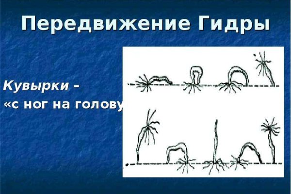 Kraken cc ссылка