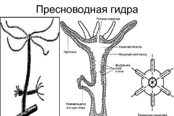 Ссылки на даркнет сайты