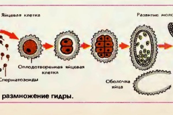 Кракен сайт с наркотиками